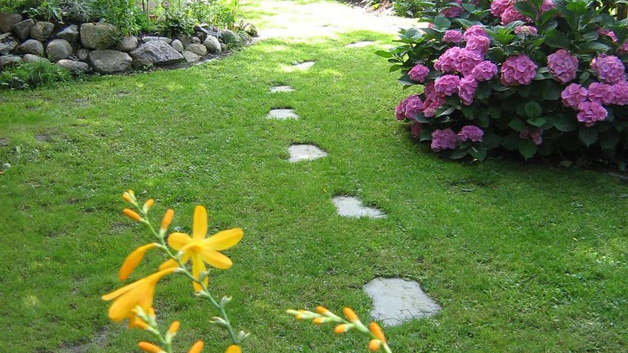 Blick in den Garten Blick in den Garten